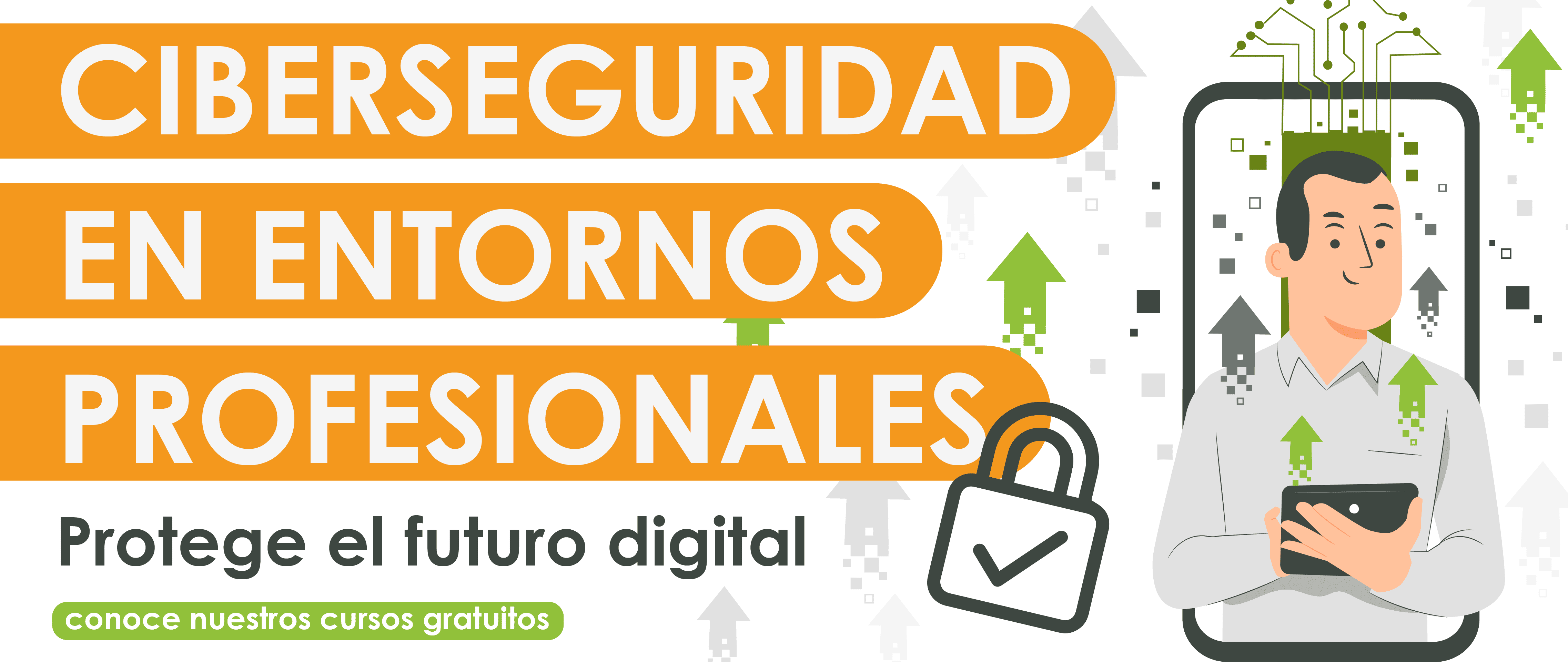 Ciberseguridad